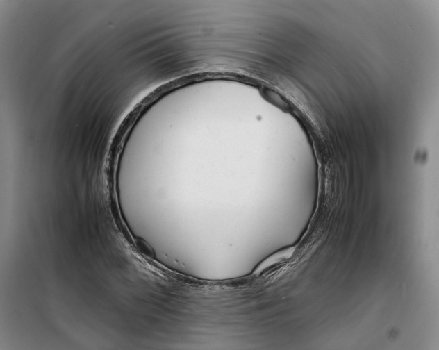 X0000099461068200805301529