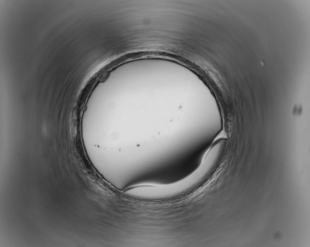 X0000099461069200805301529