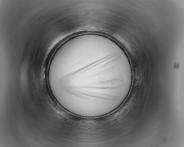 X0000099461070200805301529