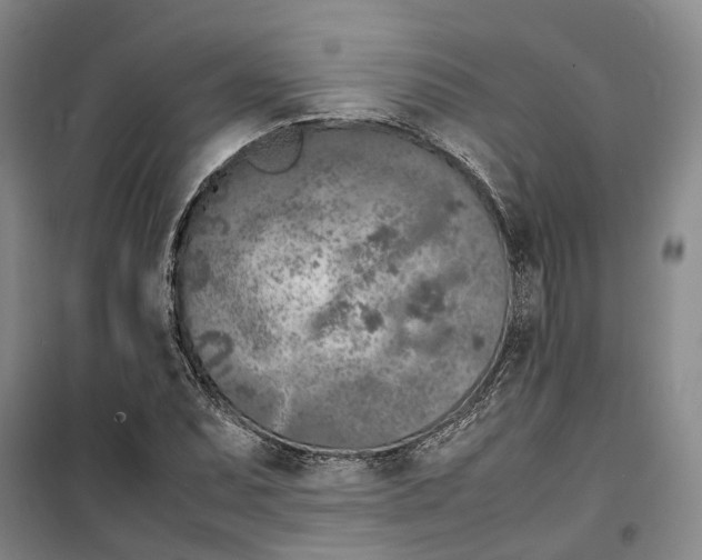 X0000099461071200805301529