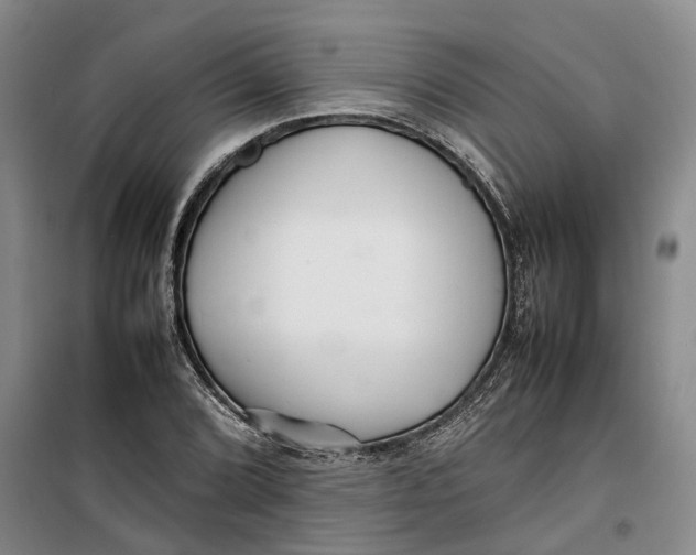 X0000099461072200805301529