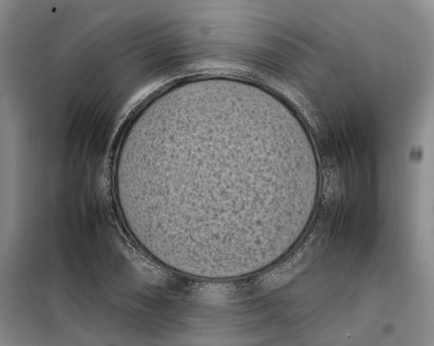 X0000099461074200805301529