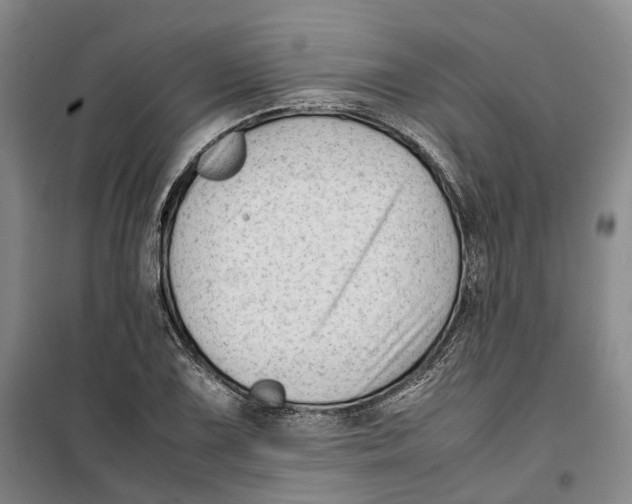 X0000099461075200805301529