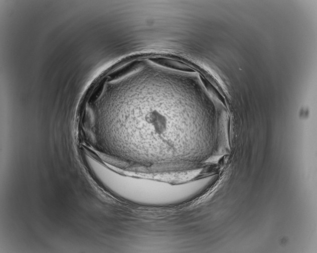 X0000099461077200805301529