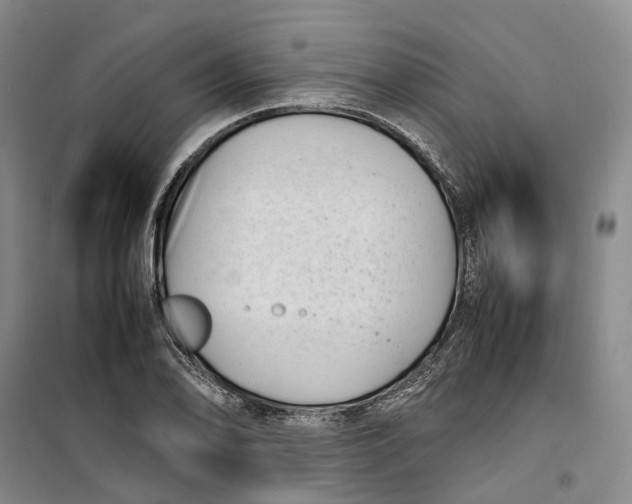 X0000099461078200805301529