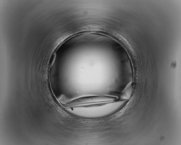 X0000099461081200805301529