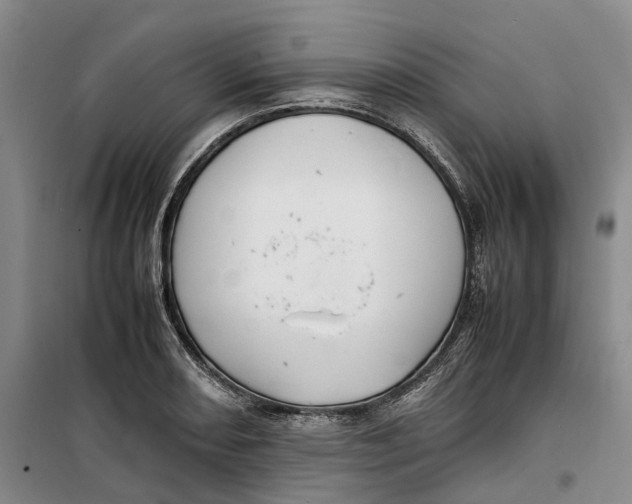 X0000099461082200805301529