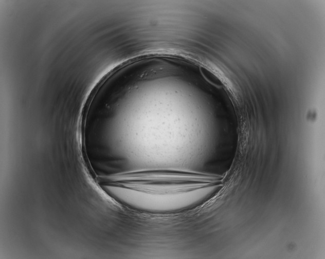 X0000099461084200805301529