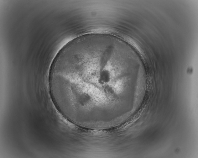 X0000099461087200805301529