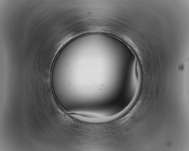 X0000099461089200805301529