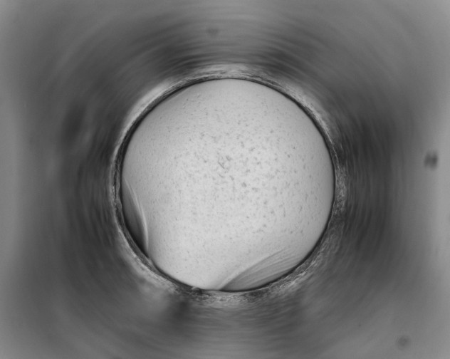 X0000099461090200805301529