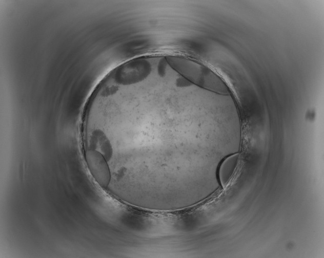 X0000099461091200805301529