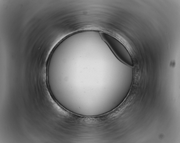 X0000099461092200805301529