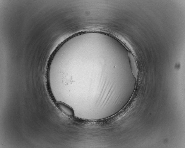 X0000099461093200805301529