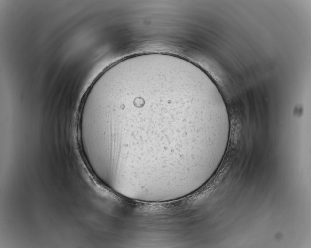 X0000099461094200805301529