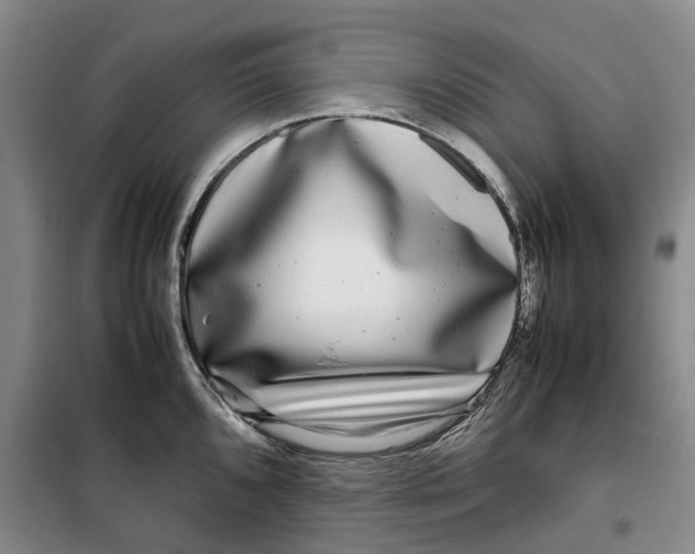 X0000099461096200805301529