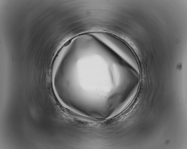 X0000099461097200805301529