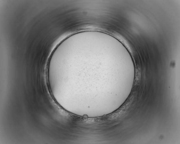 X0000099461098200805301529