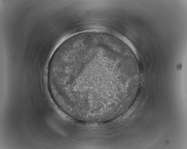 X0000099461099200805301529