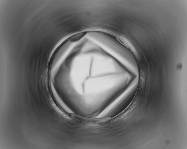 X0000099461100200805301529