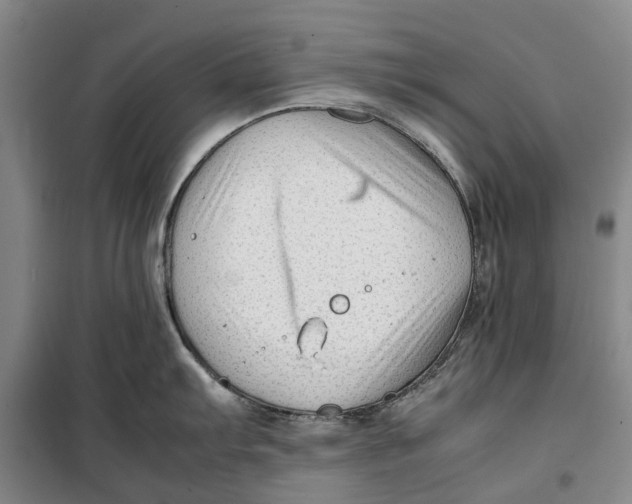 X0000099461103200805301529