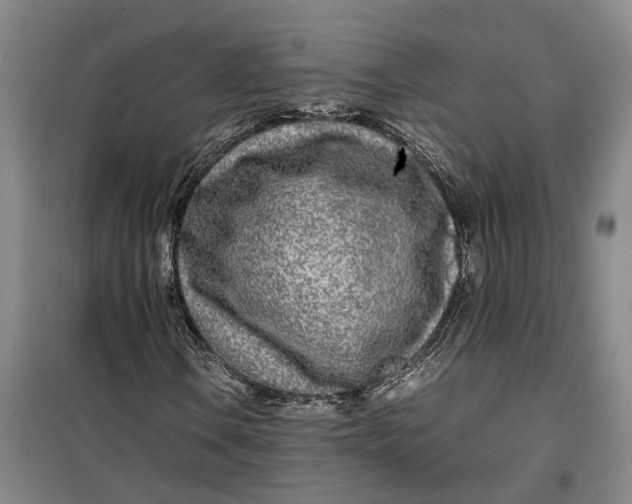 X0000099461106200805301528