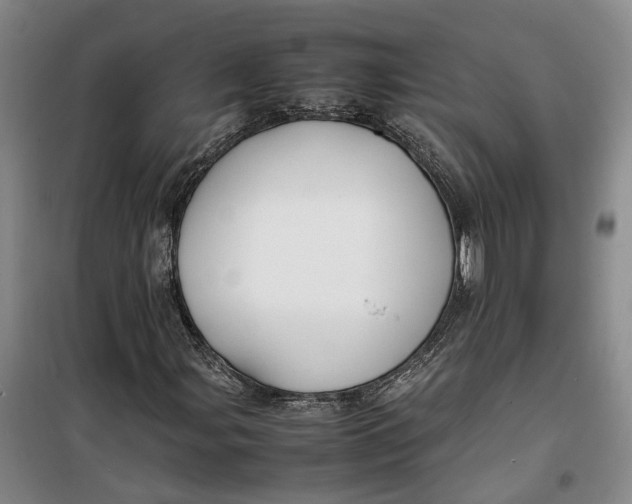 X0000099461107200805301528