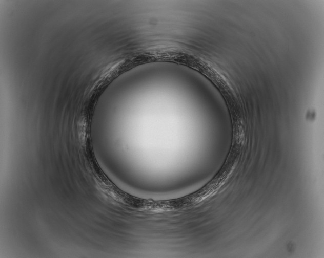 X0000099461108200805301528