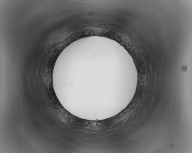 X0000099461109200805301528