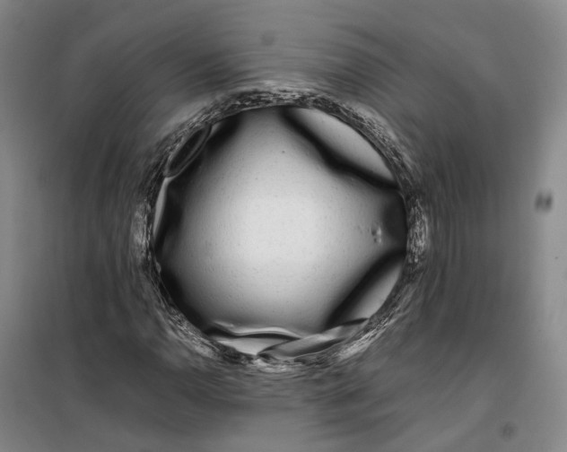 X0000099461110200805301528