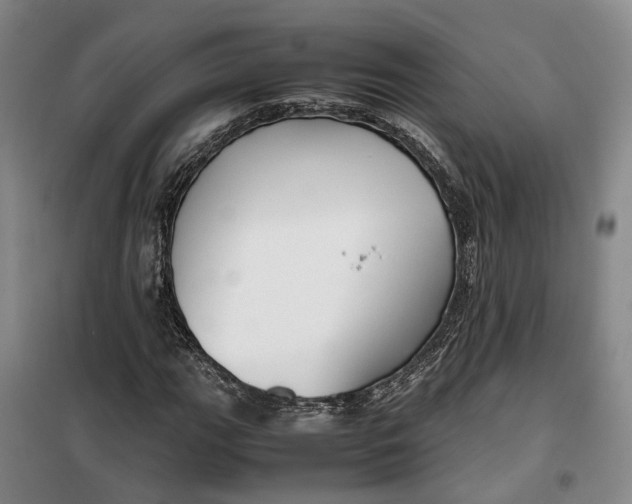 X0000099461111200805301528