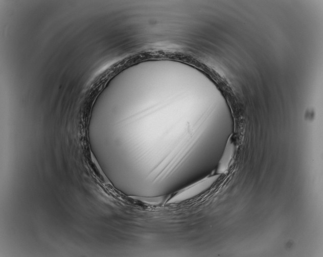 X0000099461112200805301528