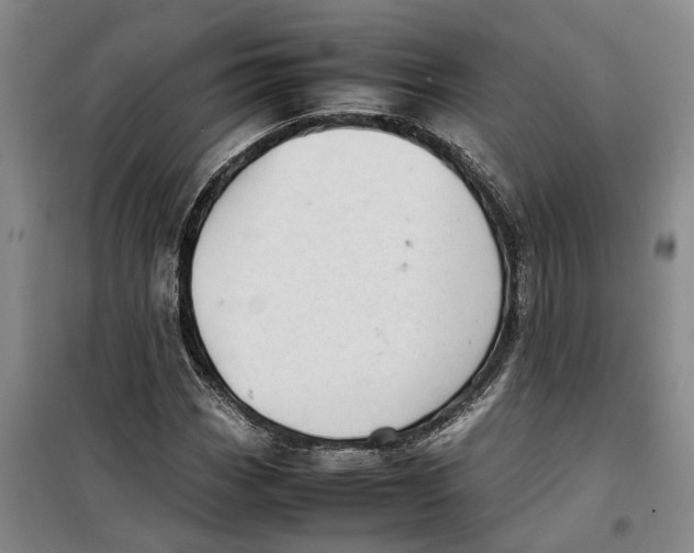 X0000099461113200805301528