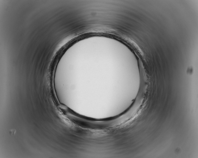 X0000099461114200805301528