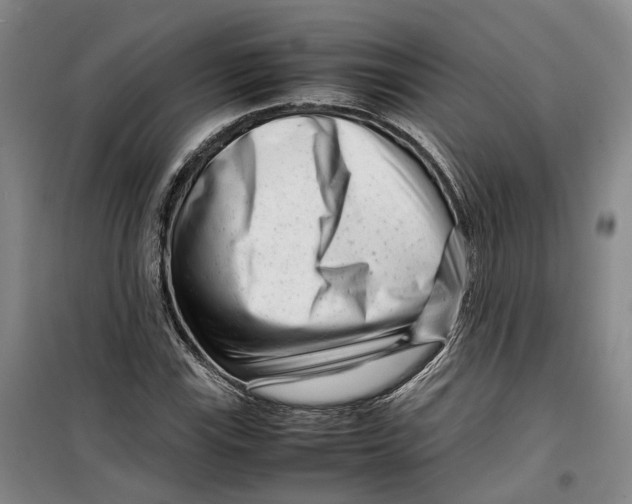 X0000099461115200805301528