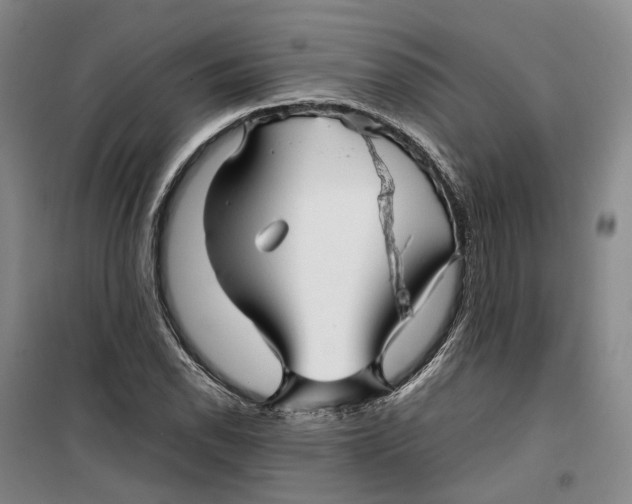 X0000099461118200805301528