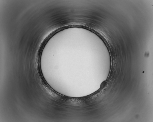 X0000099461119200805301528