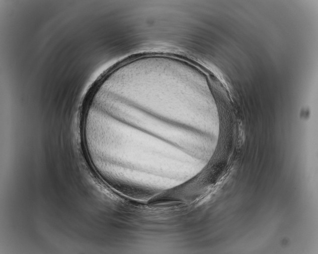 X0000099461120200805301528