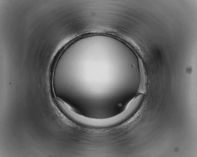 X0000099461122200805301529