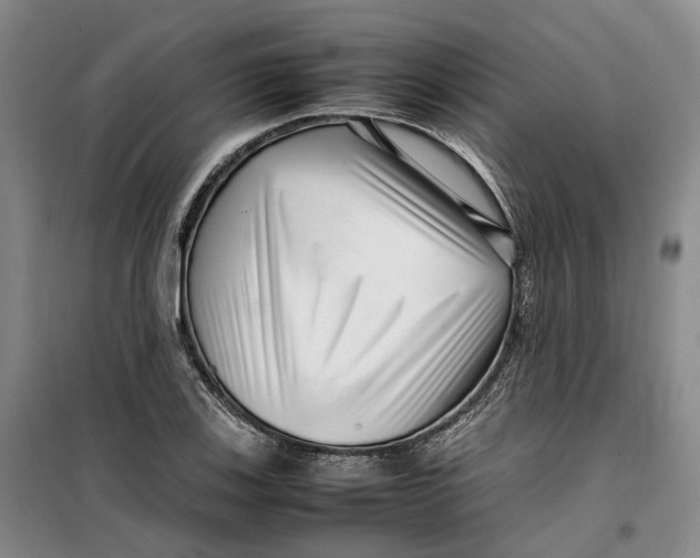 X0000099461123200805301529