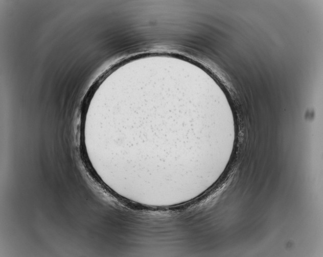 X0000099461126200805301529