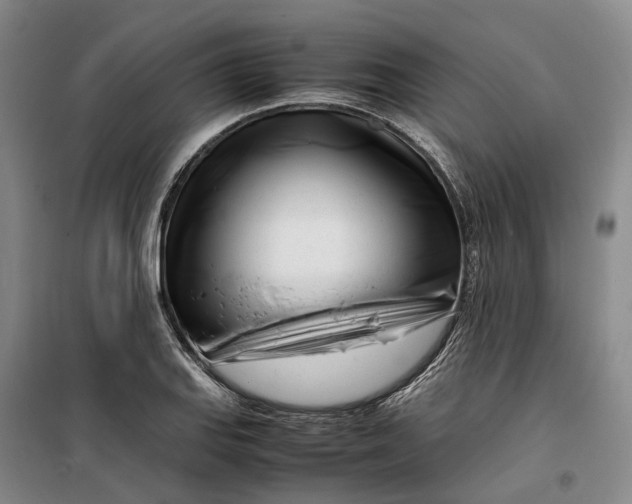 X0000099461127200805301529