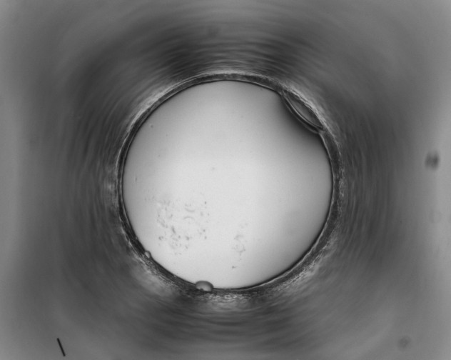 X0000099461129200805301529