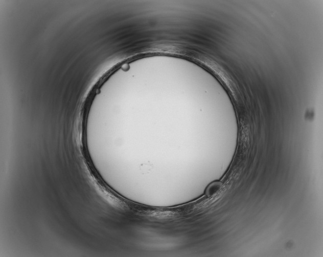 X0000099461131200805301529