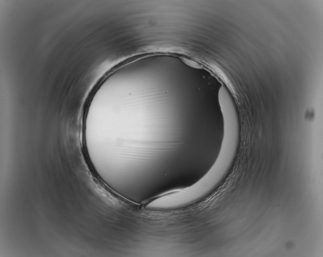 X0000099461132200805301529