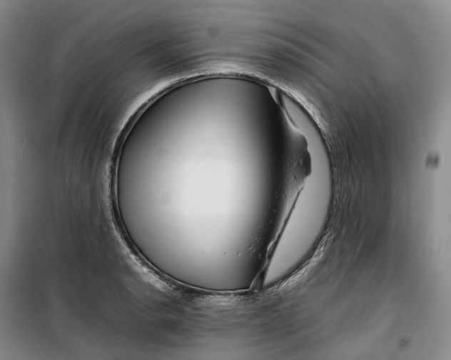 X0000099461134200805301529