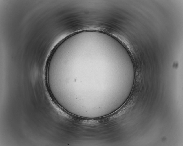 X0000099461135200805301529