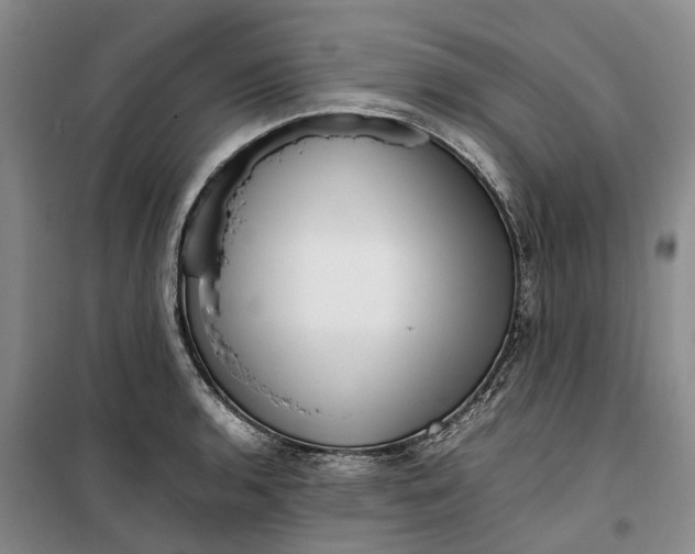 X0000099461136200805301529