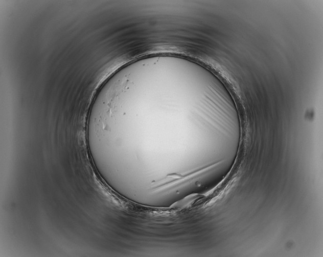 X0000099461137200805301529