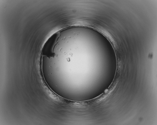 X0000099461138200805301529